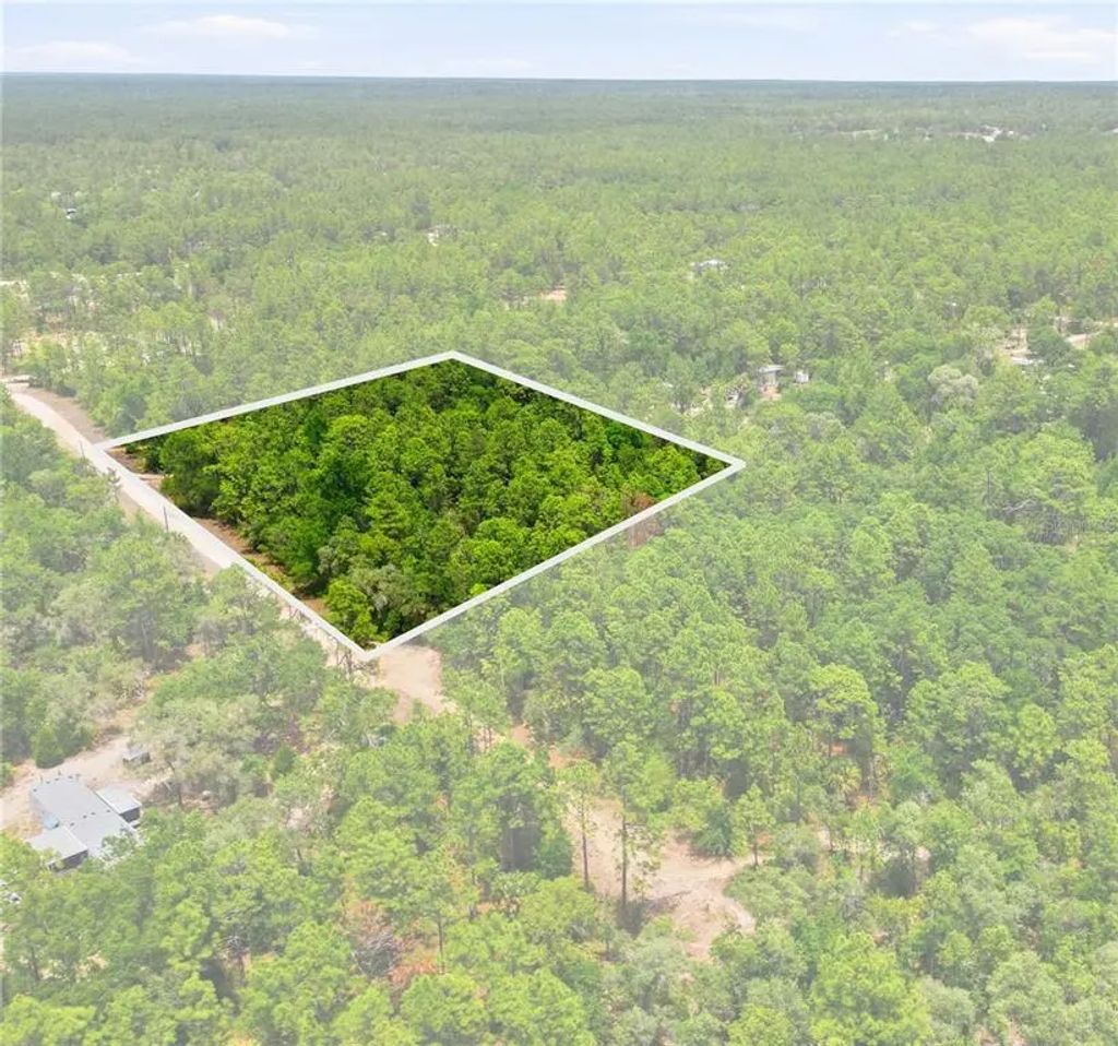 5339 N Lace Point, DUNNELLON