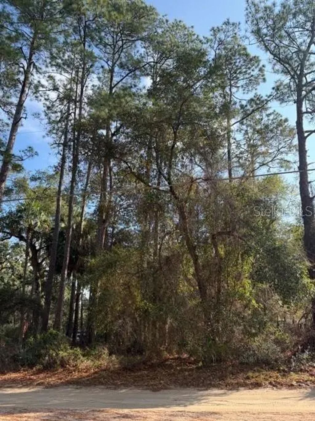 Tbd Ne 236 Terrace, FORT MC COY