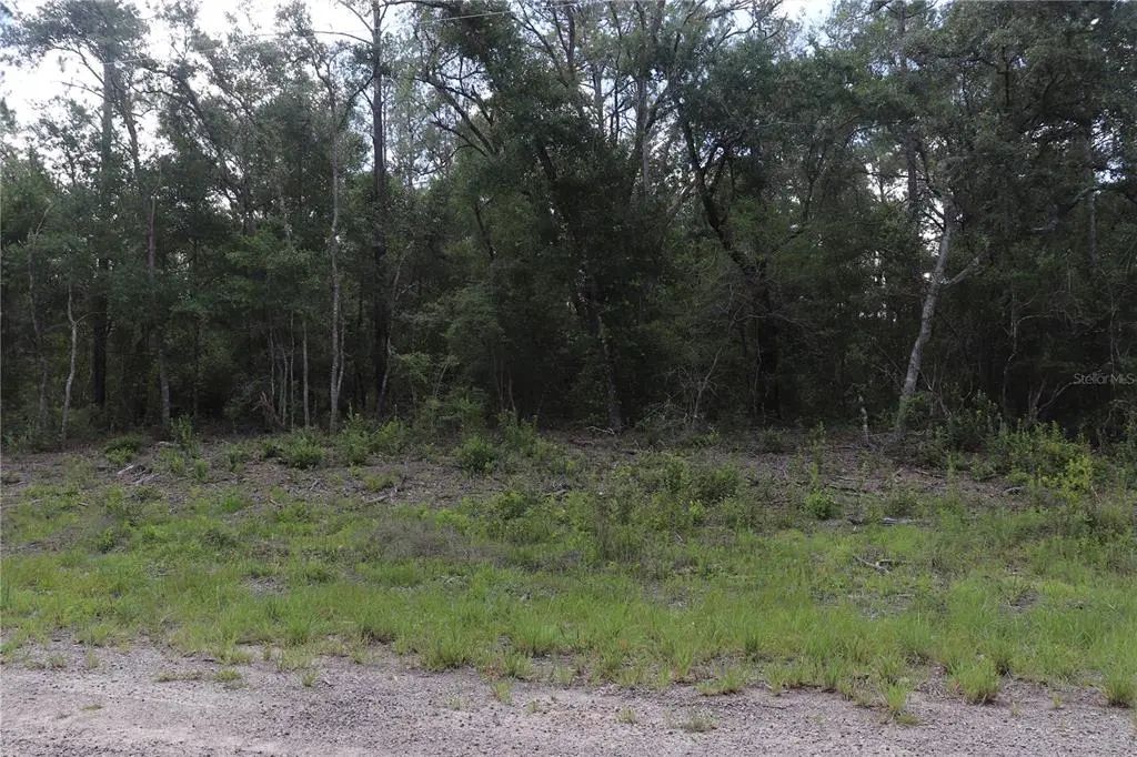 653 Vercelli Lane, DUNNELLON
