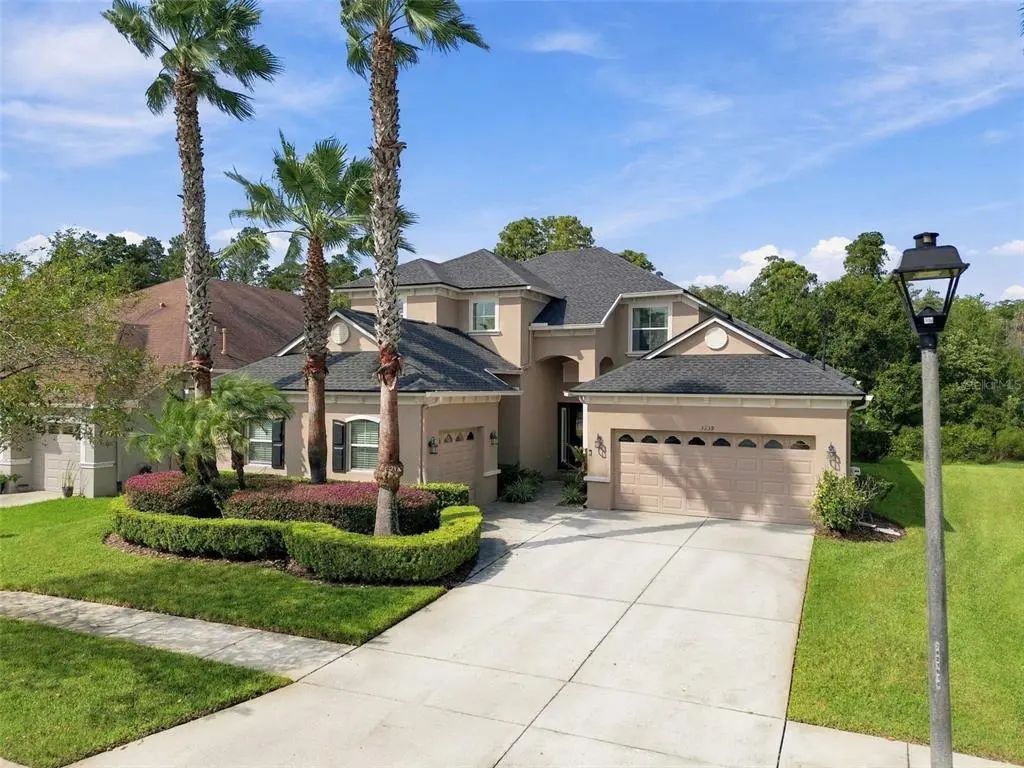 3339 Diamond Falls Circle, LAND O LAKES