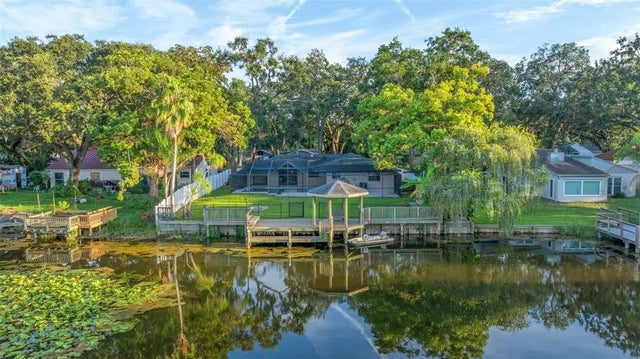 1005 Samy Drive, TAMPA