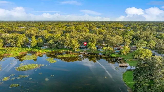 1005 Samy Drive, TAMPA