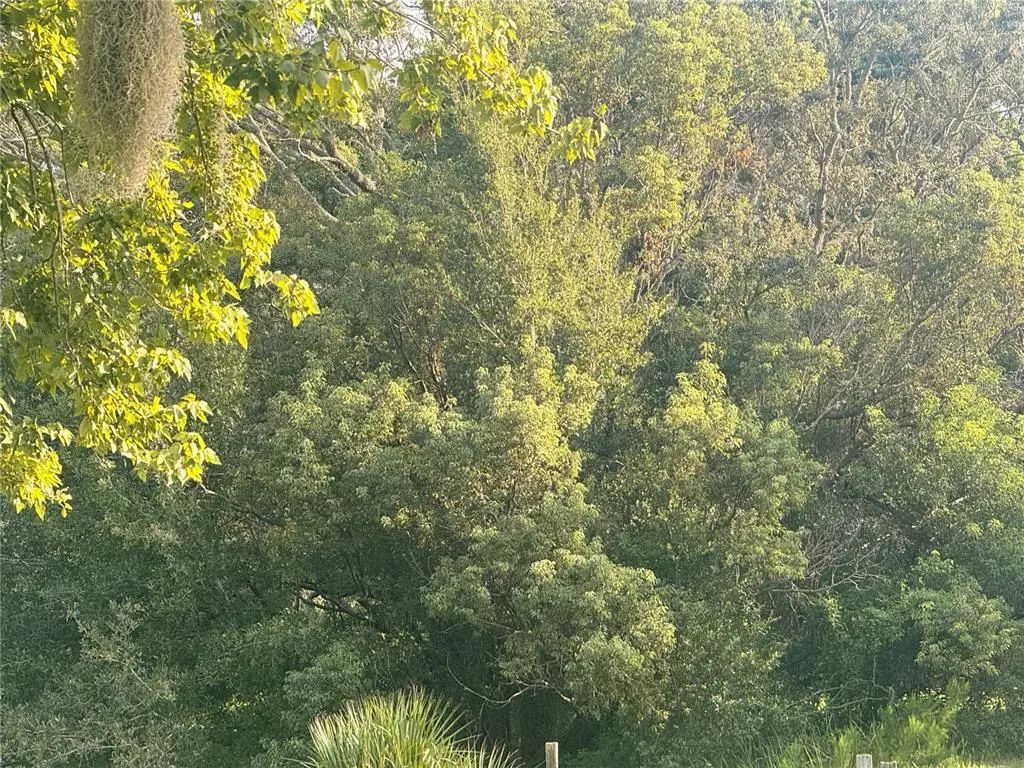 20 Gloxinias Court, HOMOSASSA
