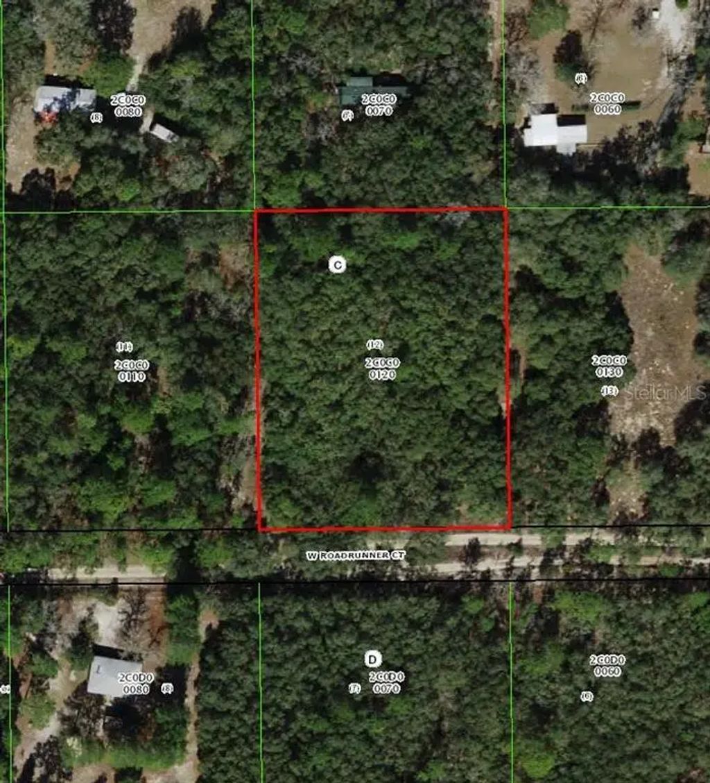 4385 W Roadrunner Court, HOMOSASSA