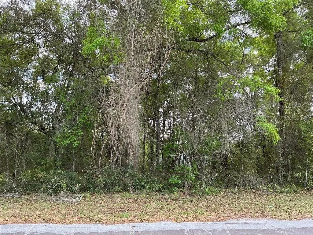 1670 W Beach Plum Drive, Citrus Springs