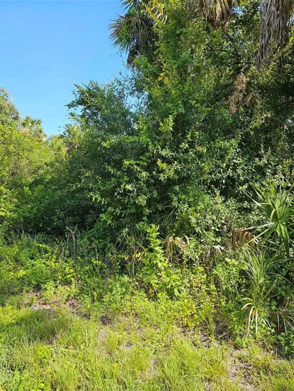 18137 Sinatra Avenue, PORT CHARLOTTE