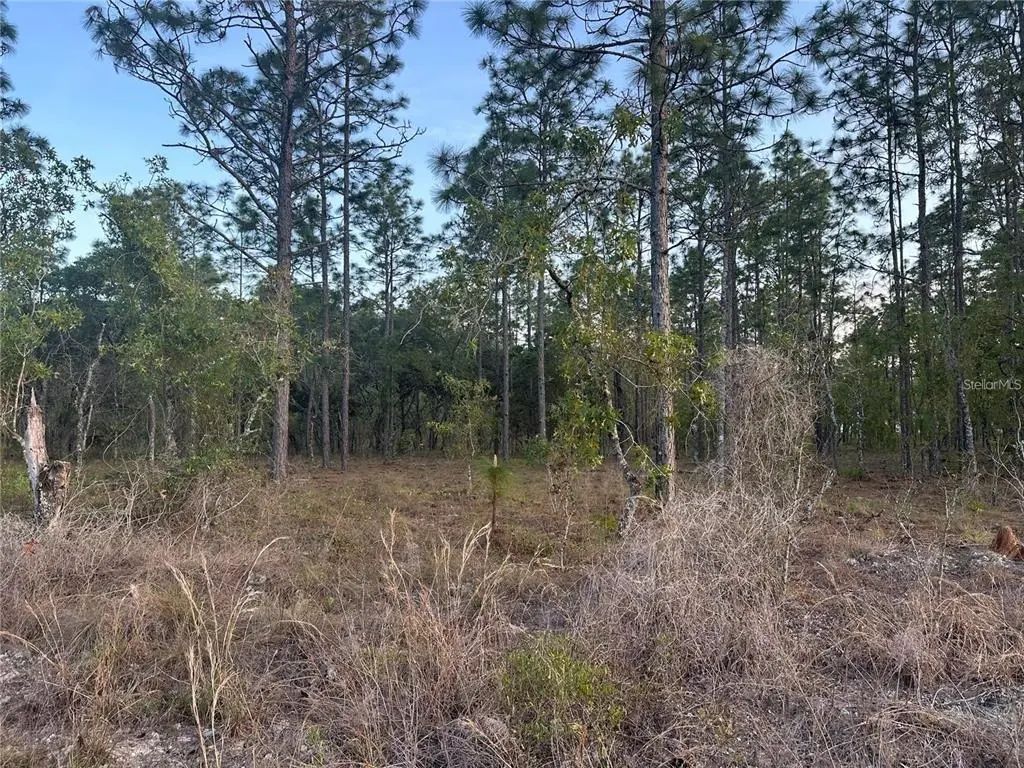 Lot 3 Nw Amberjack Ave., DUNNELLON