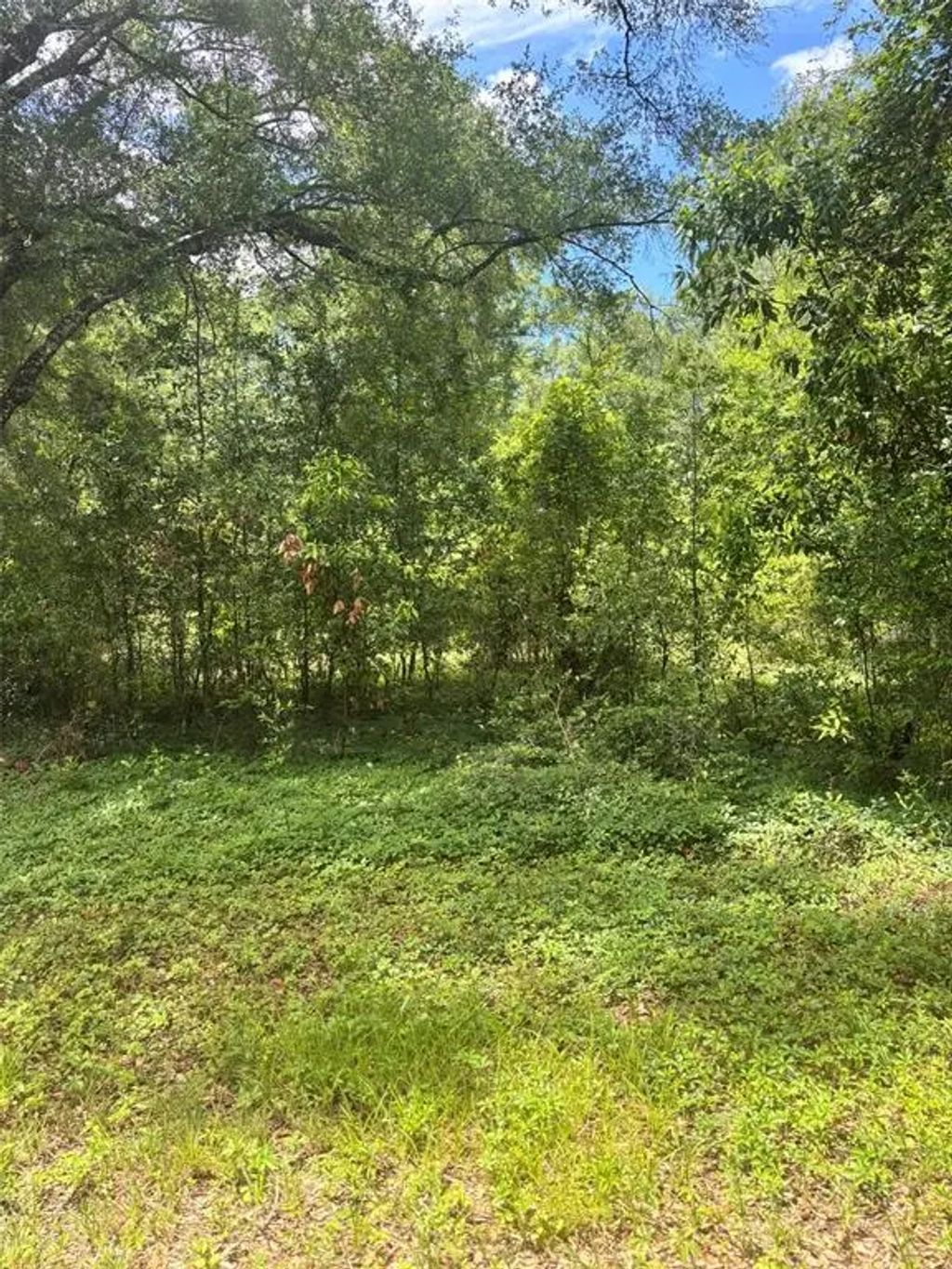 8230 Nw 166th Street, FANNING SPRINGS