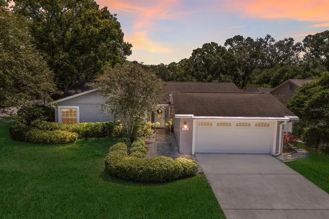 13719 Wilkes Drive, TAMPA
