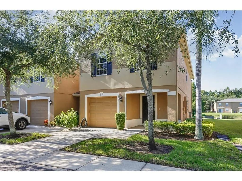 8008 Sutton Terrace Lane, TAMPA