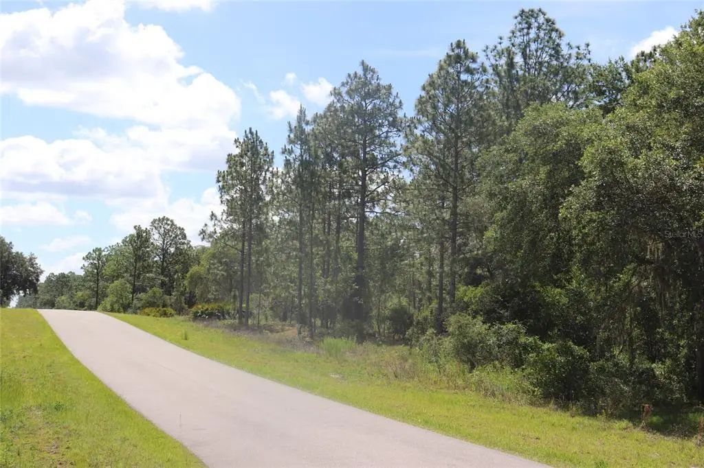 Tbd Se 114th Place, DUNNELLON