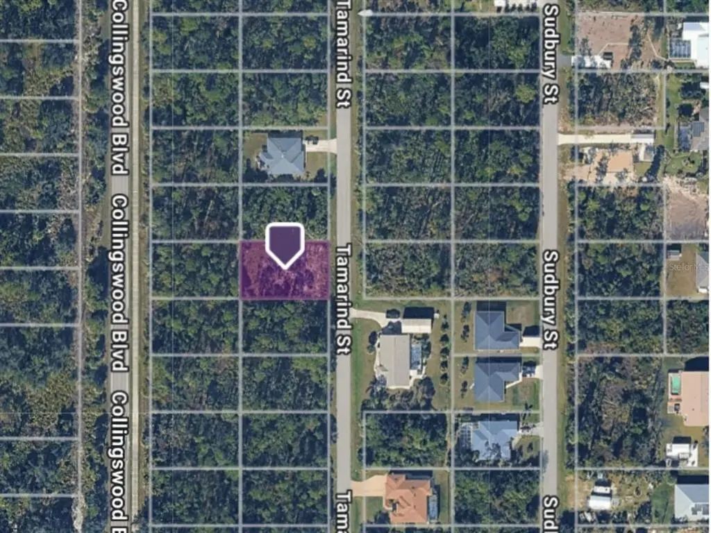 3133 Tamarind Street, PORT CHARLOTTE