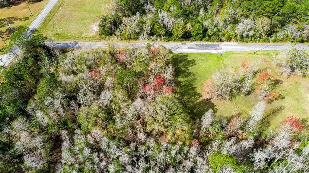 4925 S Morningside Terrace, HOMOSASSA