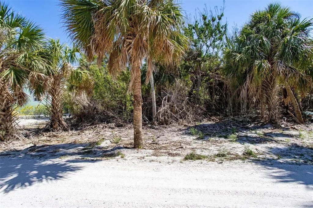 Photo of Listing #A4657547