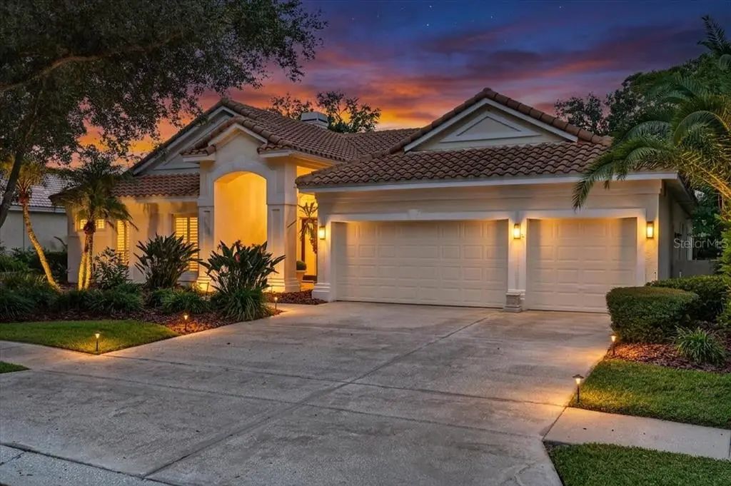 9101 Woodridge Run Dr, TAMPA