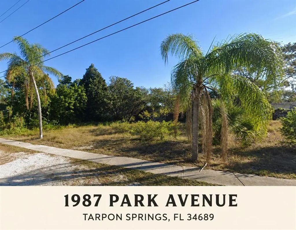 1987 Park Avenue, TARPON SPRINGS