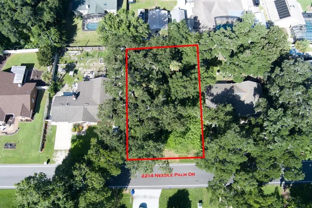 2214 Needle Palm Drive, EDGEWATER