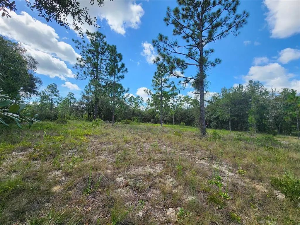 Sw Nectarine Lane, DUNNELLON
