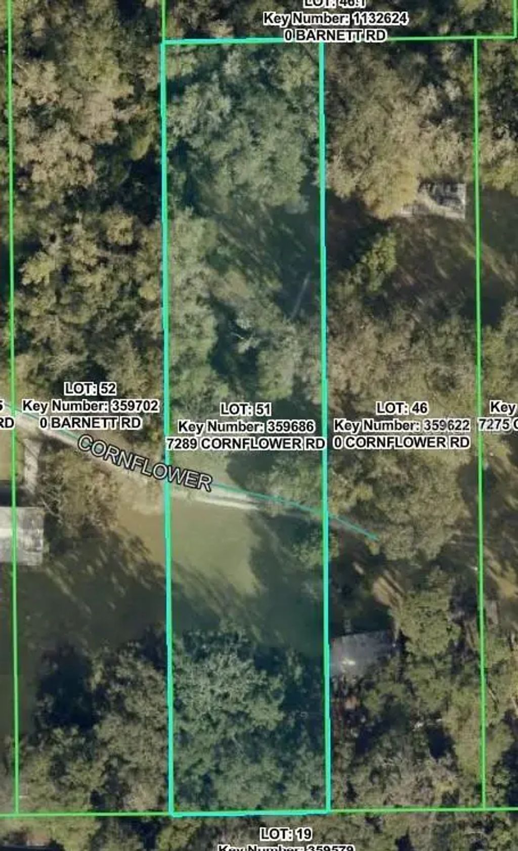 7289 Cornflower Road, BROOKSVILLE