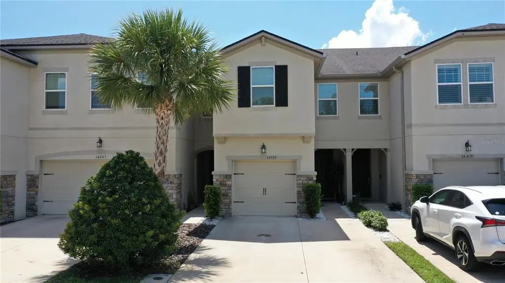 14223 Pondhawk Lane, TAMPA