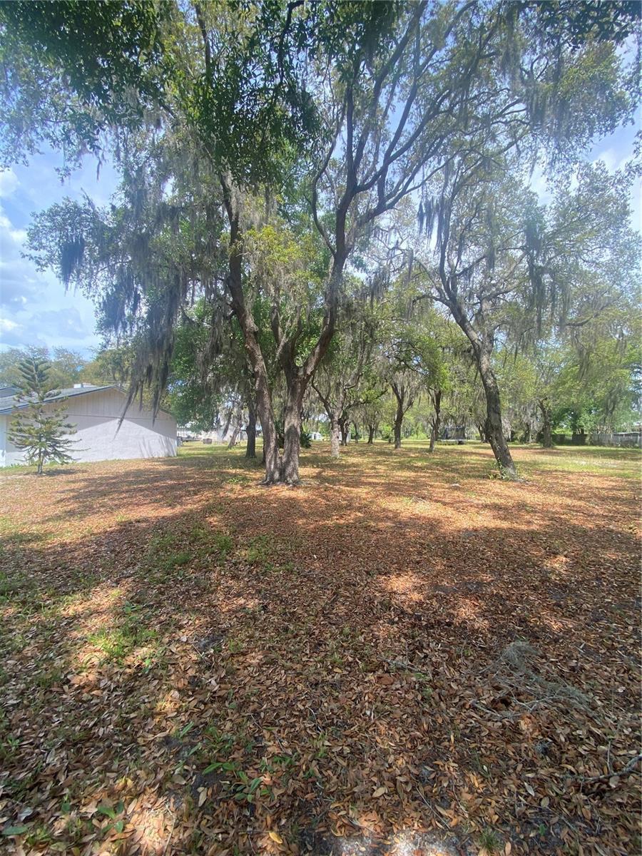4151 Boggy Creek Road, KISSIMMEE