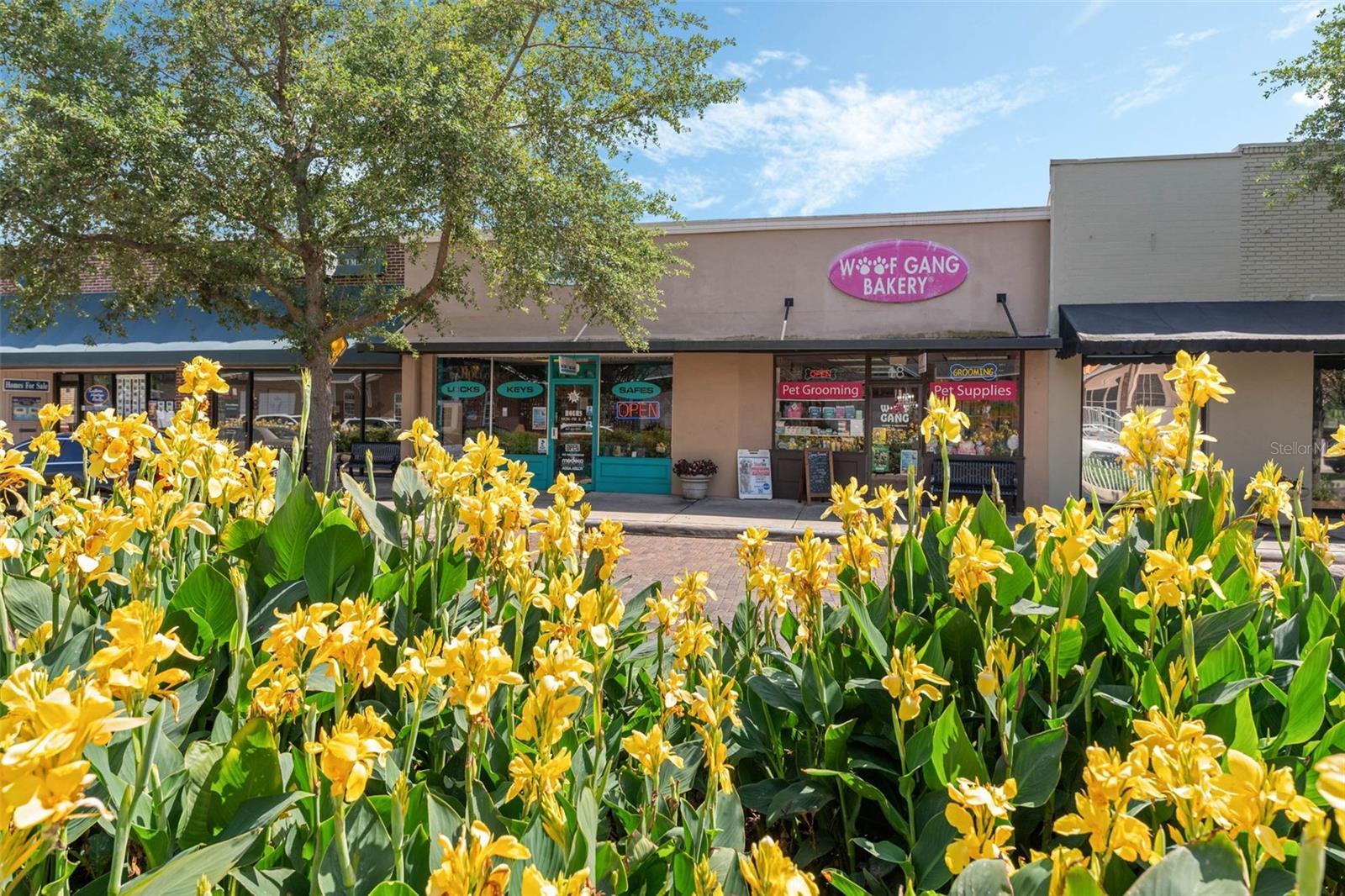 Photo of Listing #G5095621