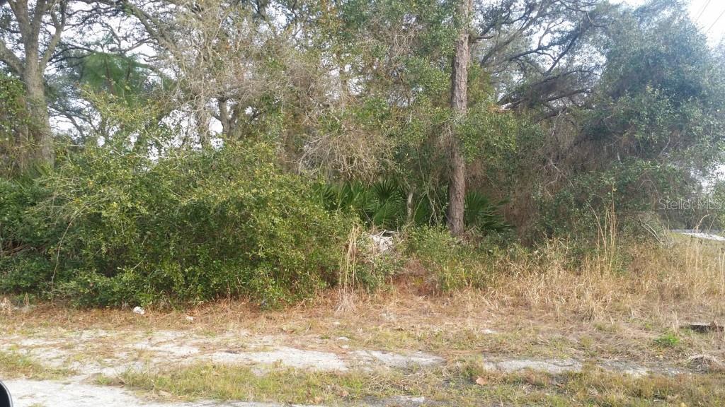 Photo of Listing #O5344991
