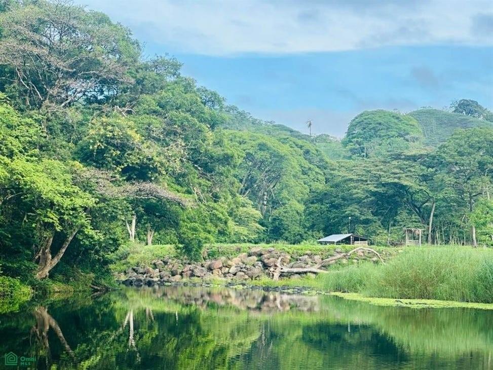 01 Sonzapote, LA CRUZ, GUANACASTE