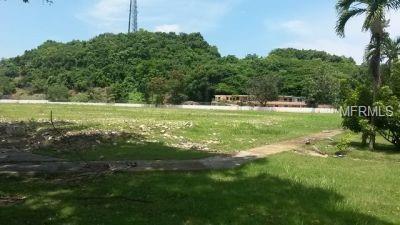 Photo of Listing #PR0000515