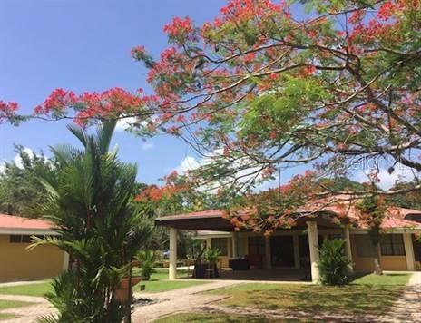 Photo of Listing #PR9099336