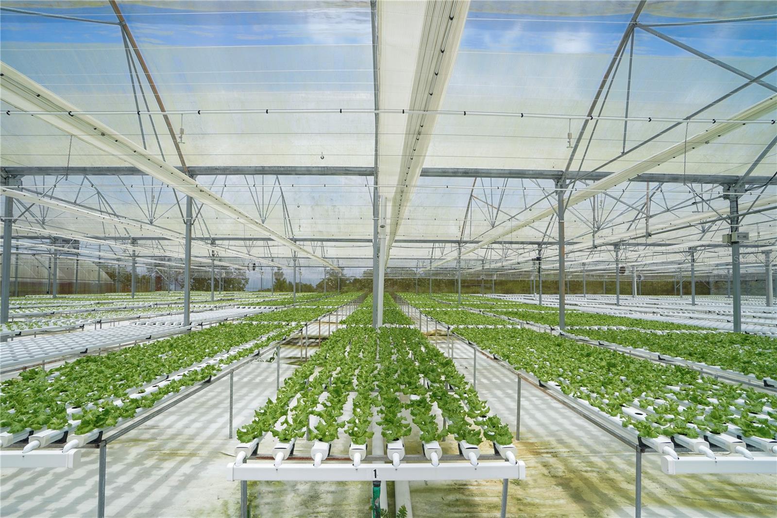 Photo of Listing #PR9115700