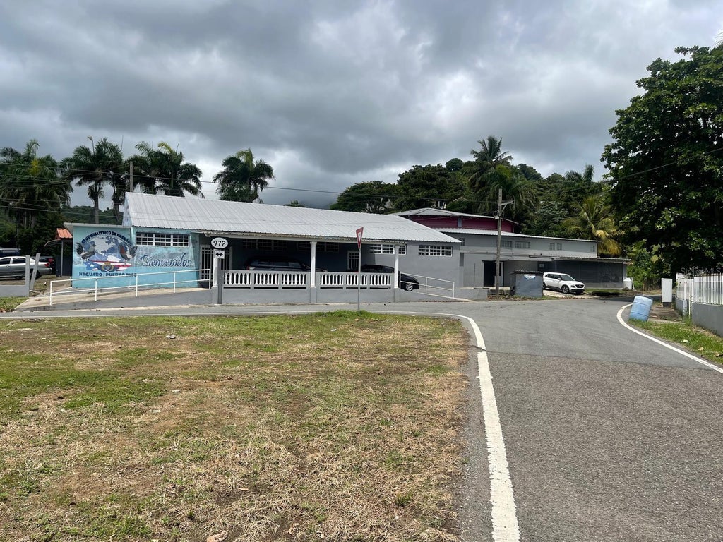 Bo. Mariana Pr-972 Km 2.7, NAGUABO