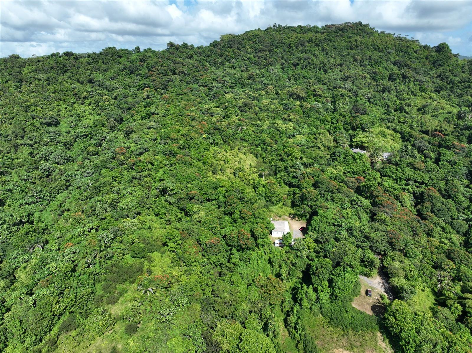 Photo of Listing #PR9117673