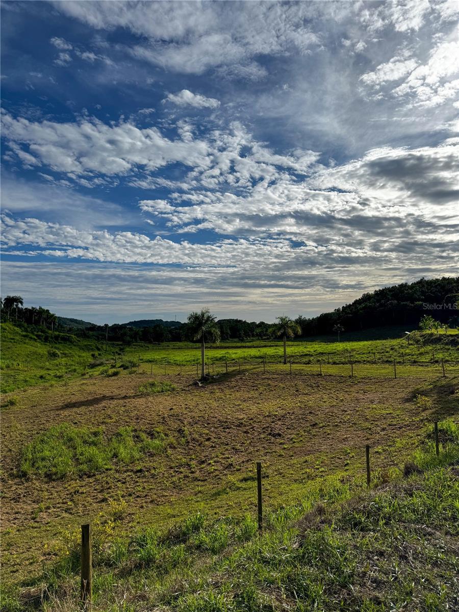 Photo of Listing #PR9117992