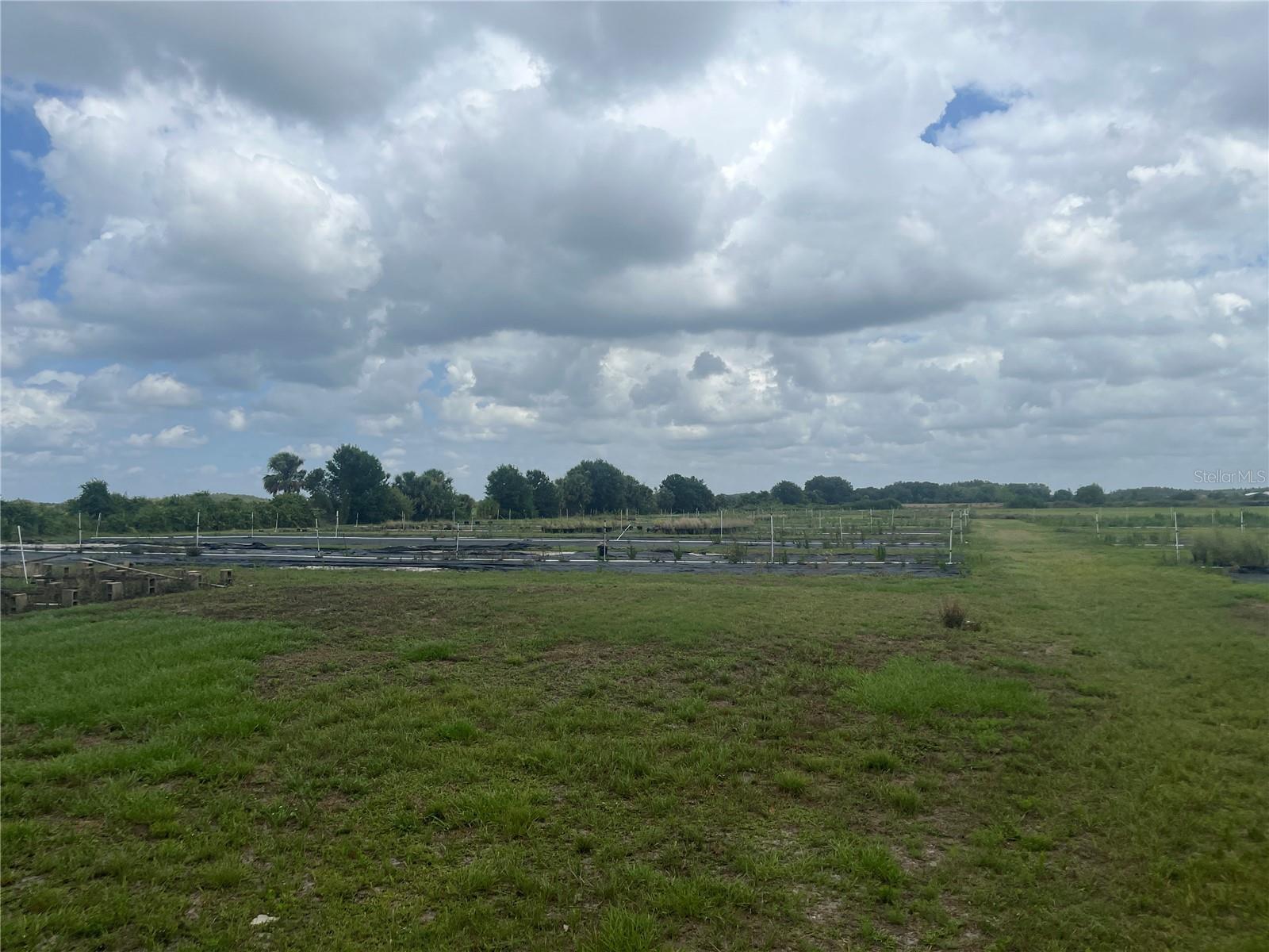 Photo of Listing #S5107174