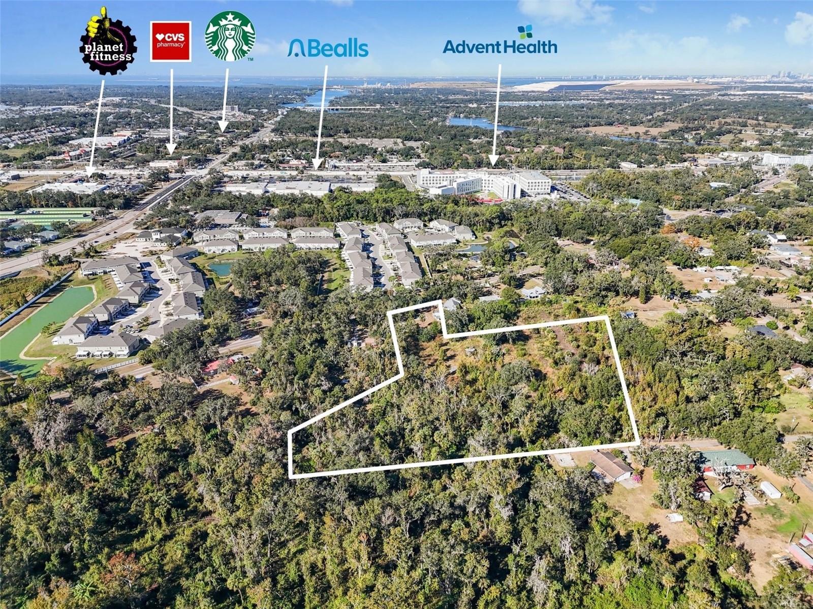 Photo of Listing #TB8444296