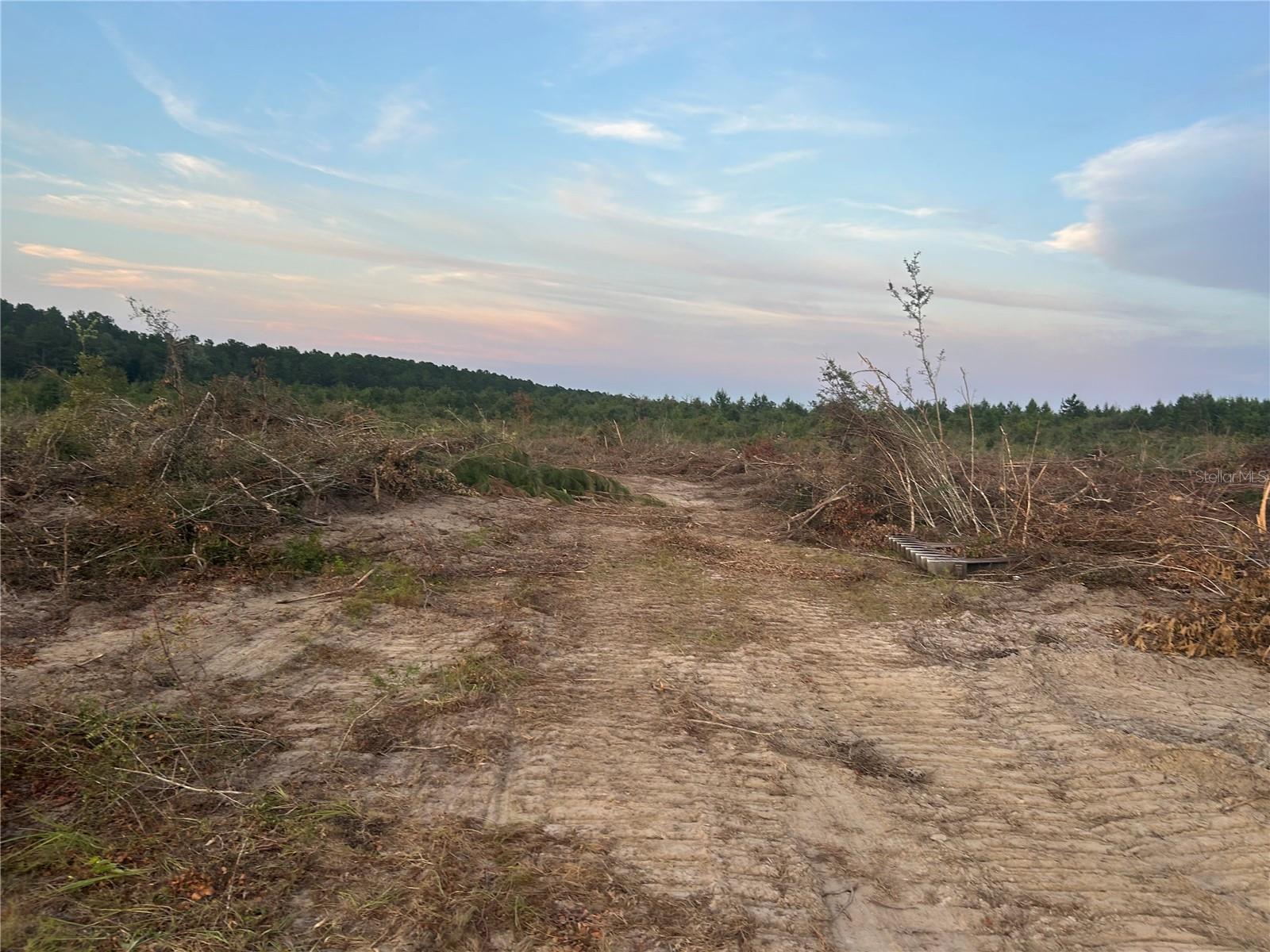 Photo of Listing #TB8450601