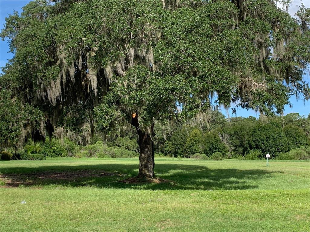 Photo of Listing #A4504817