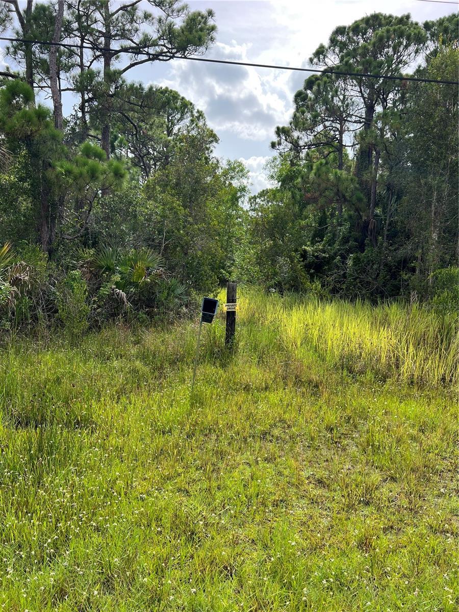 Photo of Listing #A4571066