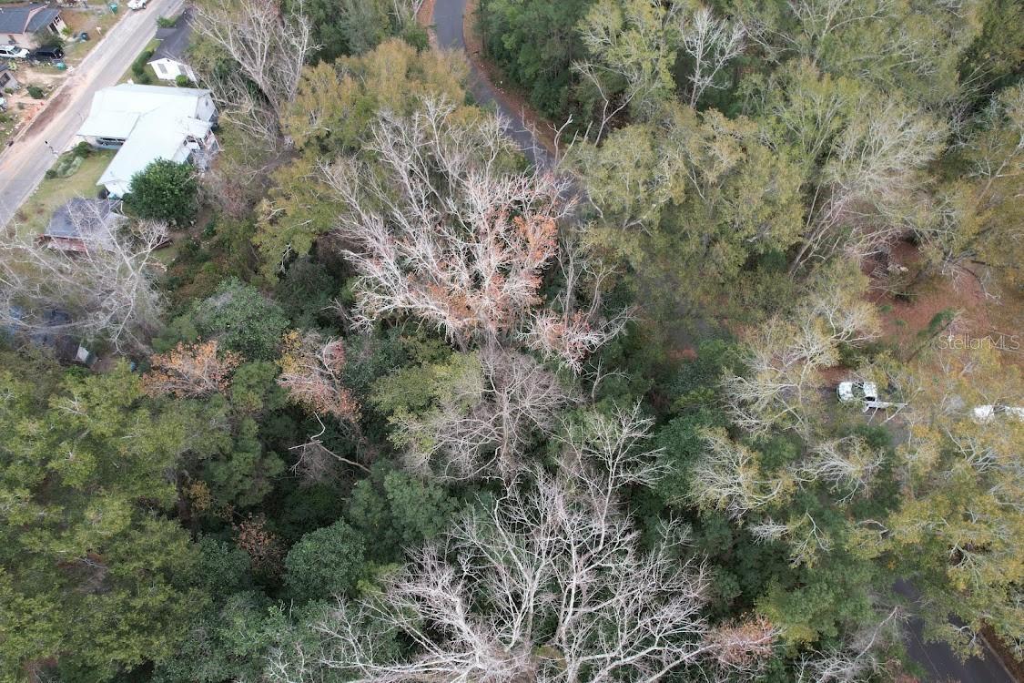 Photo of Listing #A4605497