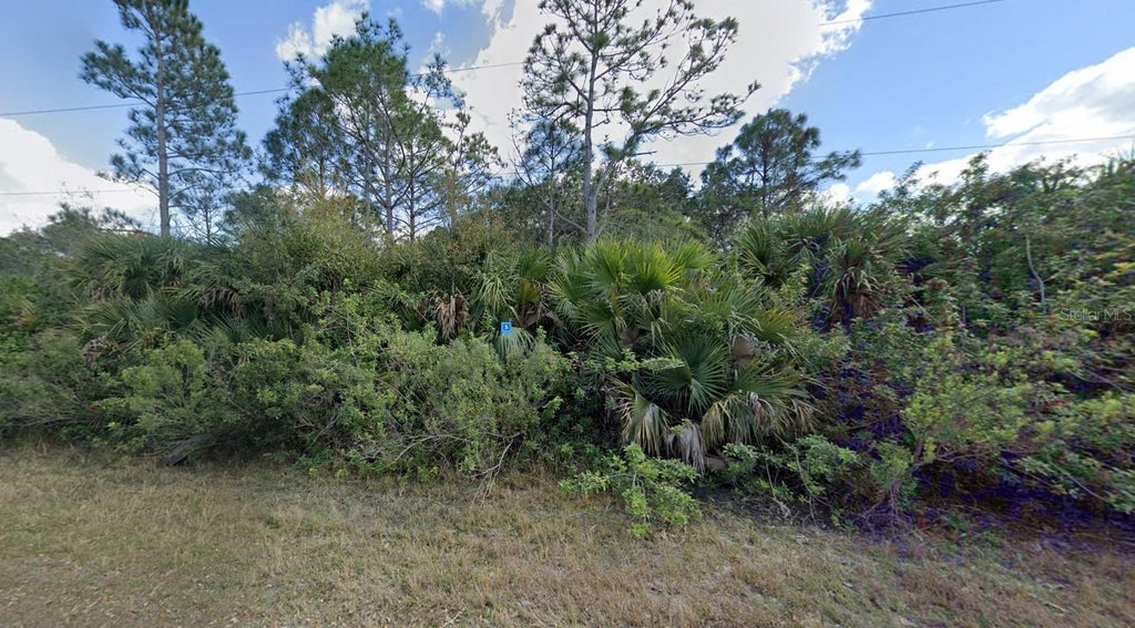 8260 Burnt Store Road, PUNTA GORDA FL PUNTA GORDA Lots/Land Homes For