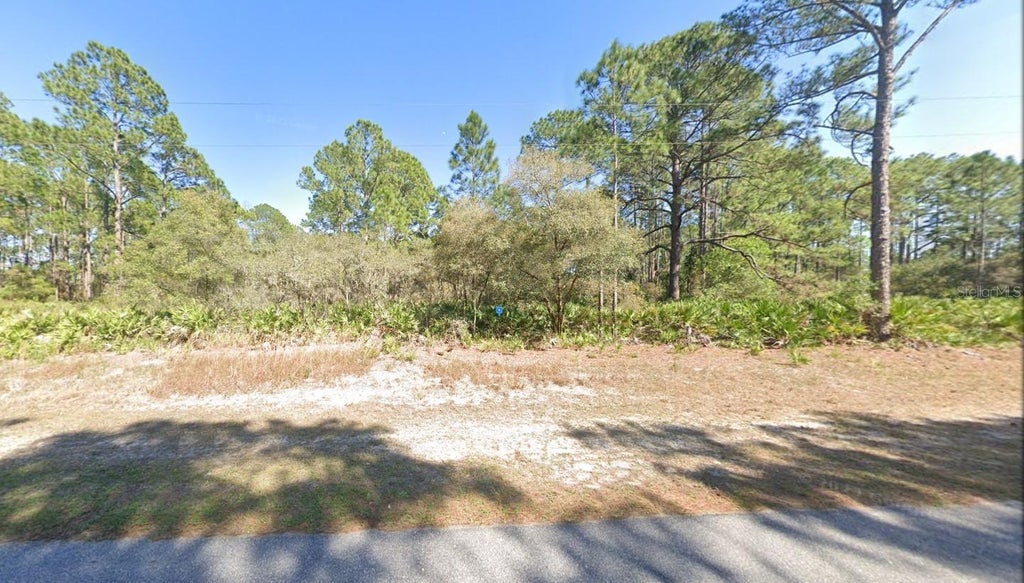 41216 Poinciana Street, EUSTIS FL EUSTIS Lots/Land Homes For Sale