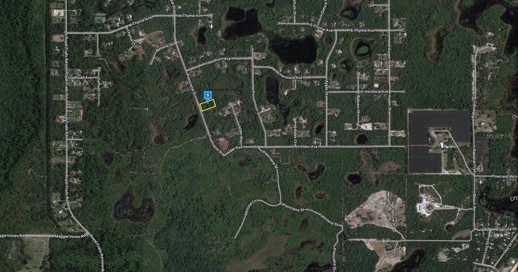 41216 Poinciana Street, EUSTIS FL EUSTIS Lots/Land Homes For Sale