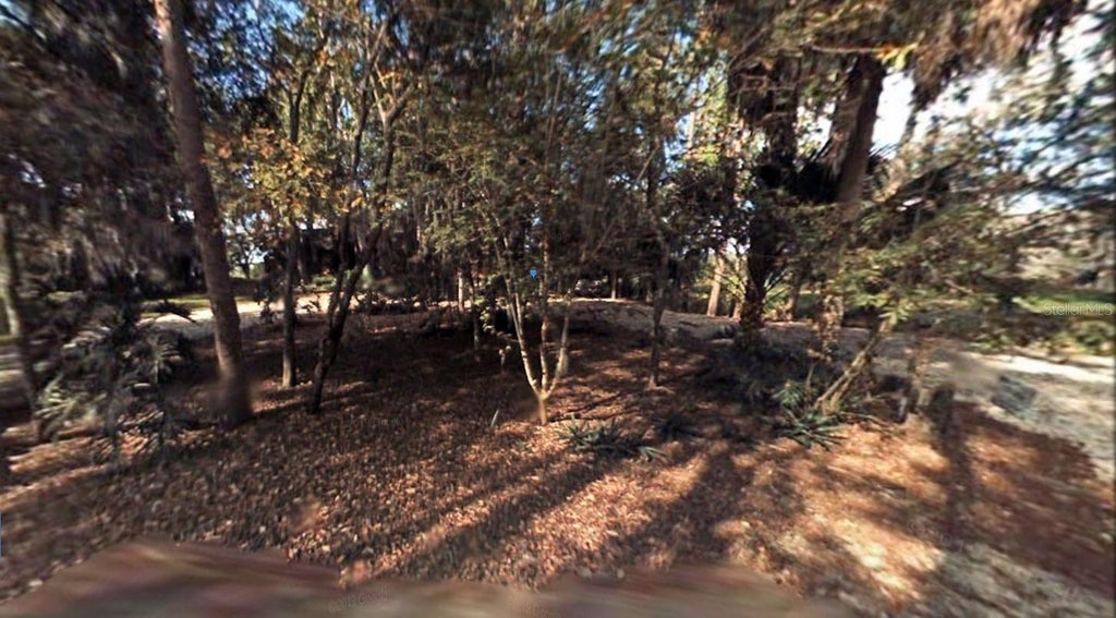 1336 Sioux Trail, DELTONA FL DELTONA Lots/Land Homes For Sale