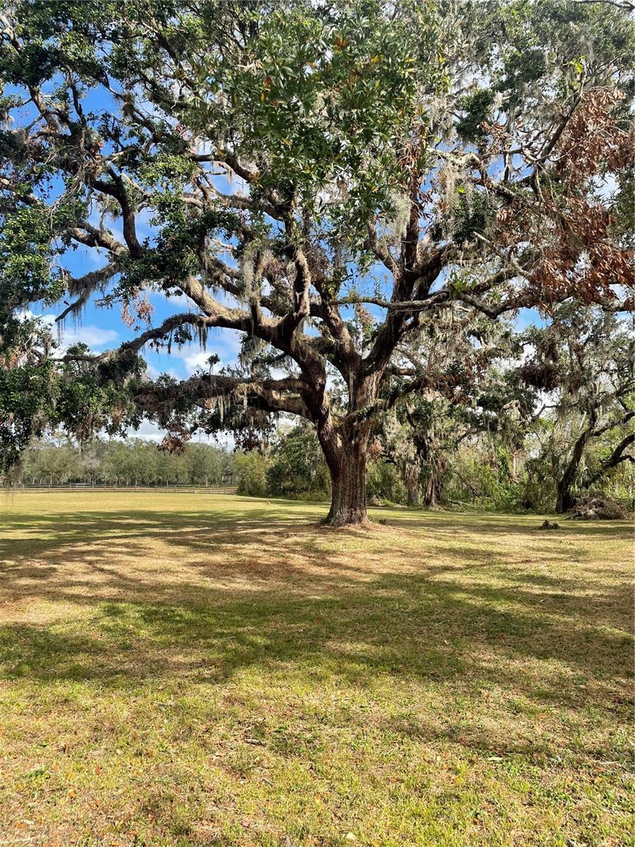 Photo of Listing #A4627945