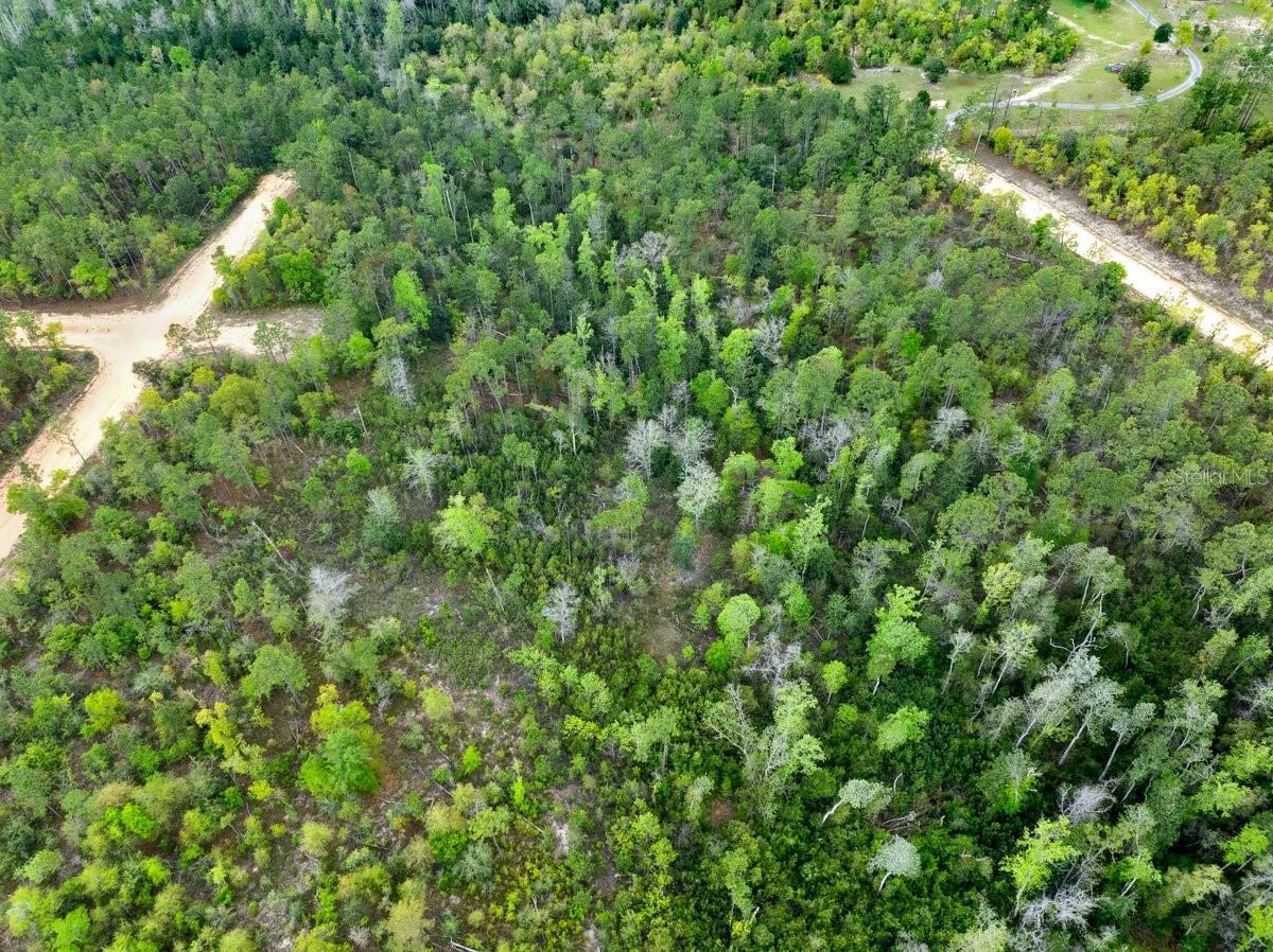 Photo of Listing #A4649989