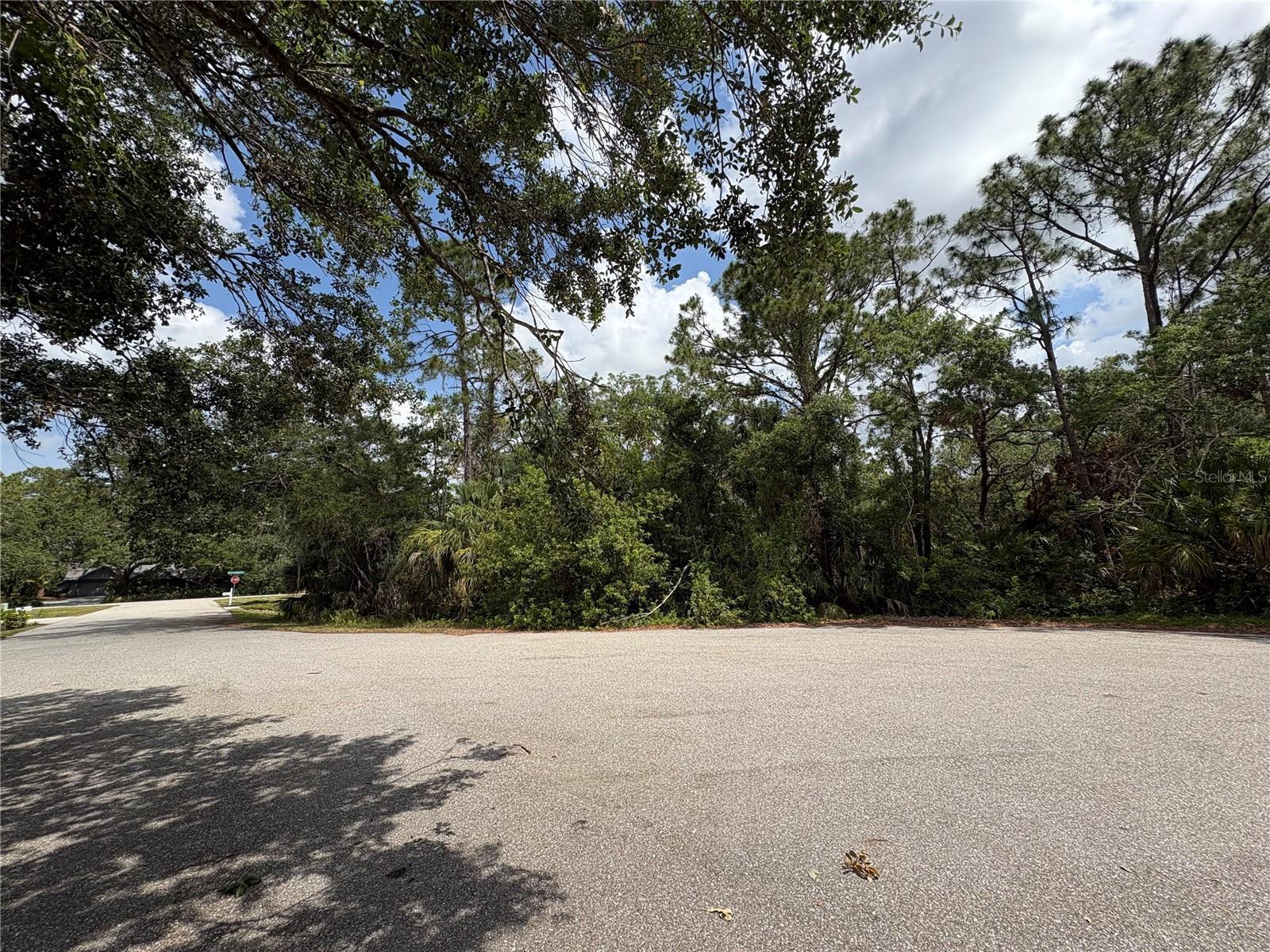 Photo of Listing #A4651216