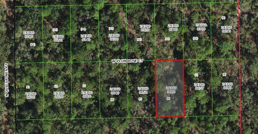 Photo of Listing #A4655013