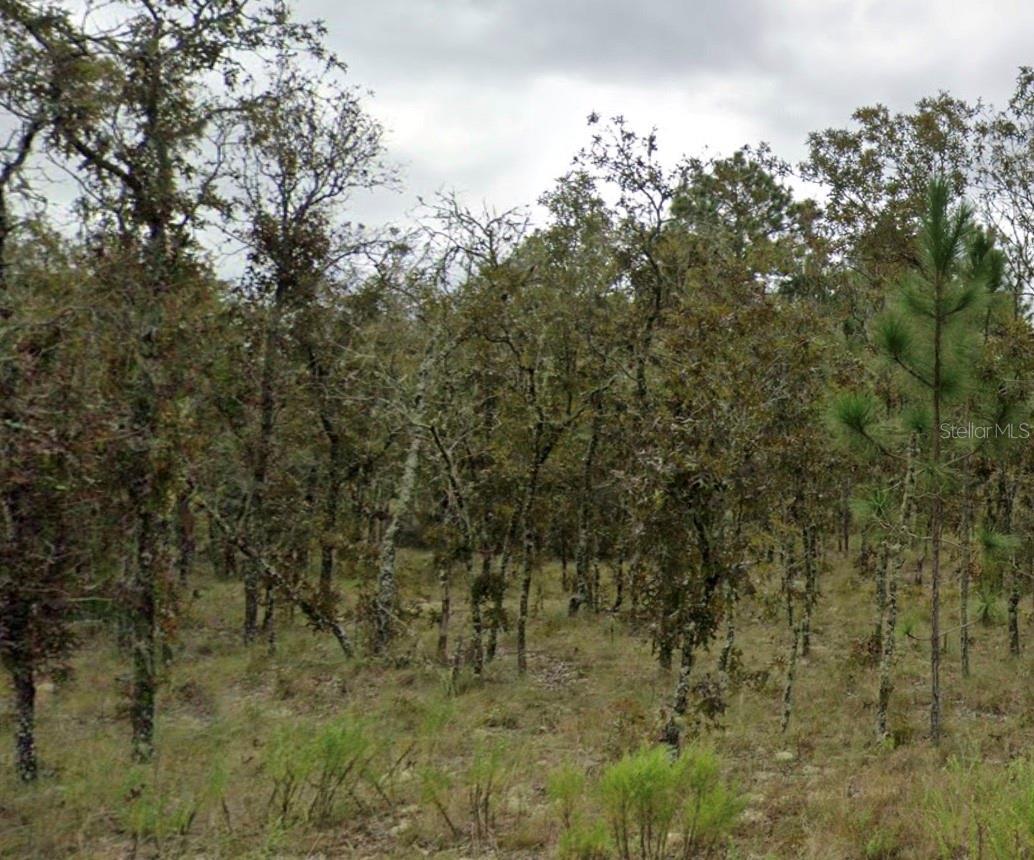 Photo of Listing #A4662640