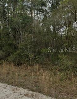 Photo of Listing #A4662644